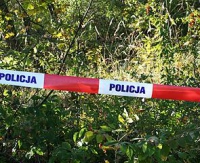 Tragiczny wypadek w lesie. Nie żyje młody mężczyzna uderzony przez spadające drzewo
