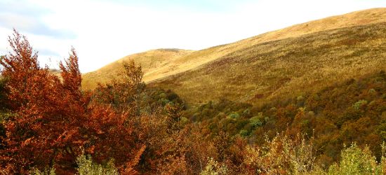 BIESZCZADY: Zapowiada się piękny weekend! Dyrekcja parku przypomina. SPRAWDŹ