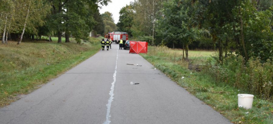 Prowadził rower i nagle wszedł na jezdnię. Tragedia (FOTO)