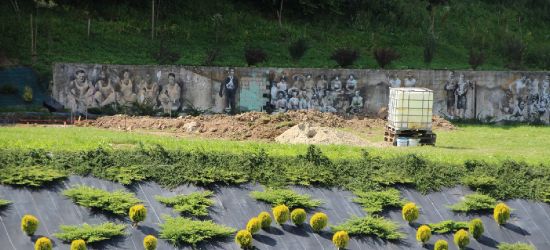 SANOK: Mini skatepark przy dawnym Torsanie (ZDJĘCIA)