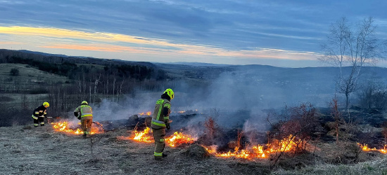 Pożar traw w Niebieszczanach