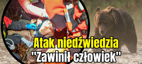 Leśnicy: Aktywiści naruszyli spokój niedźwiedzia, prowokując atak