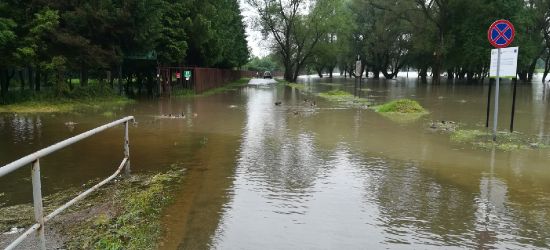 Woda wdziera się na działki na Sosenkach. Jest blisko basenów (VIDEO, ZDJĘCIA)