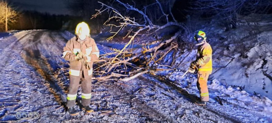BIESZCZADY: Powalone drzewa i zablokowane drogi. Strażacy walczą ze skutkami silnych wiatrów (ZDJĘCIA)