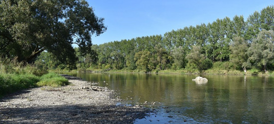 SANOK: Sześć firm w przetargu na zagospodarowanie brzegów Sanu