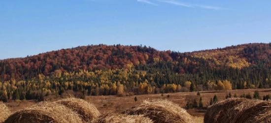 BIESZCZADY24.PL: Kulturalna jesień w Sanoku i w regionie