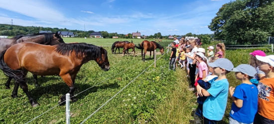 Letnie półkolonie z GOK Zarszyn (ZDJĘCIA)