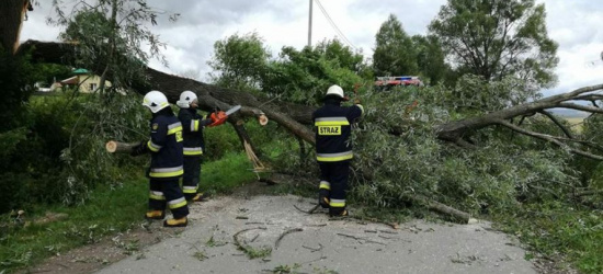 PILNE. Drzewo przygniotło jadący samochód. Kierowca nie przeżył