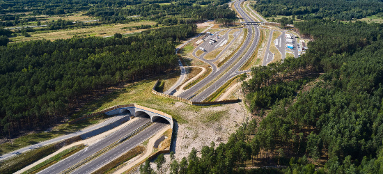 Jest decyzja! Rusza budowa S19 Krosno – Miejsce Piastowe