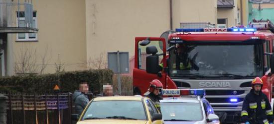 Najgrubsza jodła w Polsce „ochrzczona” (ZDJĘCIA)