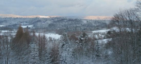 BIESZCZADY. Rodzina z czwórką dzieci zgubiła się w lesie