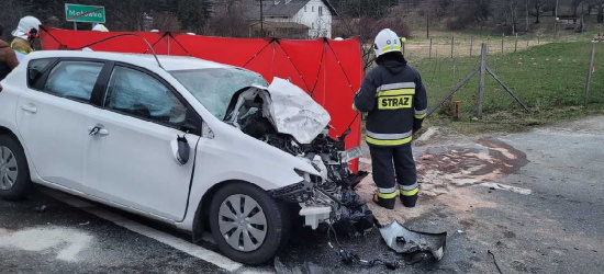 Koszmarny wypadek. Śmierć 42-letniej kierującej (ZDJĘCIA)