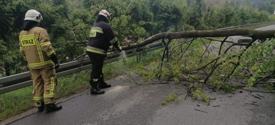 ZAGÓRZ: Sporo interwencji „drugiego burzowego” dnia (ZDJĘCIA)
