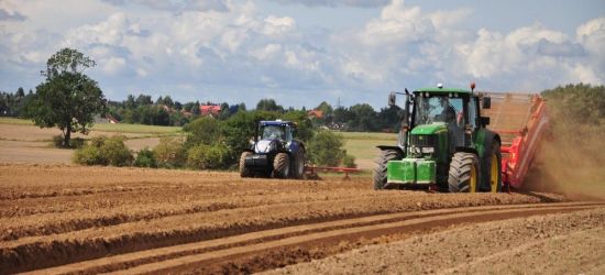 Premie dla młodych rolników i restrukturyzacja małych gospodarstw – wnioski do 30 czerwca