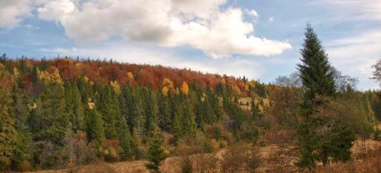 BIESZCZADY24.PL: Kulturowa jesień w Sanoku i w regionie
