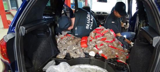 Przemycał blisko 50 kilogramów bursztynu (FOTO)