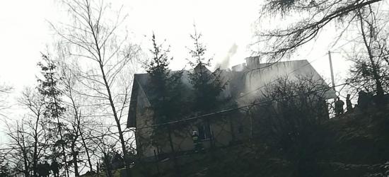 Zachowują pamięć o leśnych cmentarzach