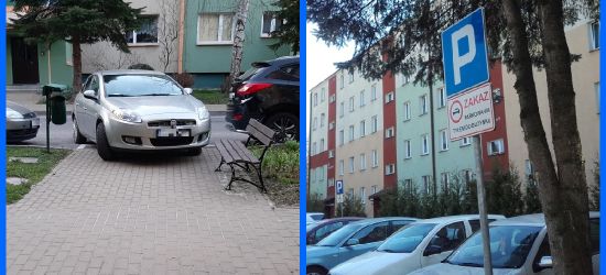 PARKOWANIE PO SANOCKU: Prawdziwe „kwiatki” (ZDJĘCIA)