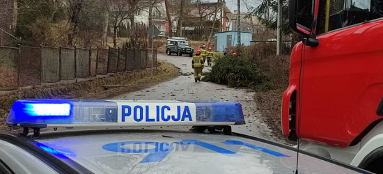 SANOK: Wichury! Zerwana linia energetyczna na Białej Górze! (VIDEO, FOTO)