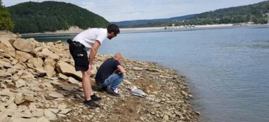 Nietypowa interwencja na jeziorze. Policjanci uratowali rannego ptaka (FOTO)