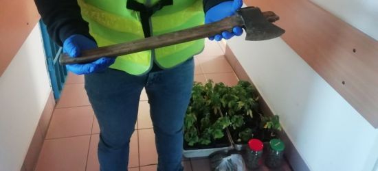 BRZOZÓW: Pijany groził matce siekierą. W domu narkotyki (ZDJĘCIA)