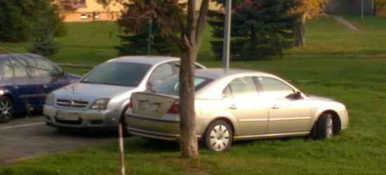 PARKOWANIE PO SANOCKU: Skończyły się miejsca parkingowe? Jest jeszcze trawnik! (ZDJĘCIE)