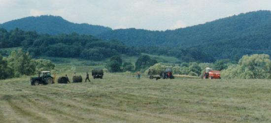 BIESZCZADY: Sianokosy na śródleśnych łąkach (ZDJĘCIA)