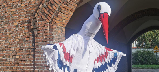 „STSik” gotowy! Zobaczcie maskotkę Marmy Ciarko STSu Sanok! (FOTO)
