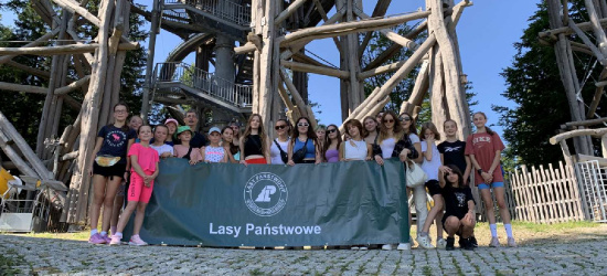 Lasy Państwowe z innej perspektywy – sport i edukacja w koronach drzew (ZDJĘCIA)