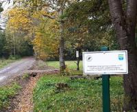 Nadleśnictwo Lesko współpracuje z samorządami przy remontach i przebudowach dróg (ZDJĘCIA)