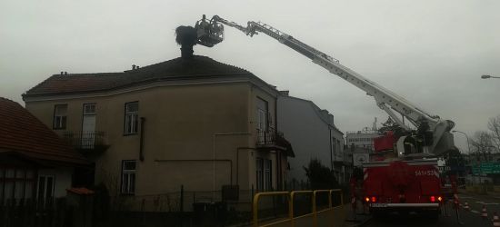 SANOK: „Sprzątali” bocianie gniazdo (FOTO)