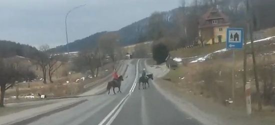 Bieszczady dzisiaj. Po śniegu nie ma już śladu! (VIDEO)