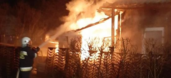 POŻAR ZAGÓRZ: Zobacz jak z pożarem walczyli strażacy! (VIDEO, ZDJĘCIA)