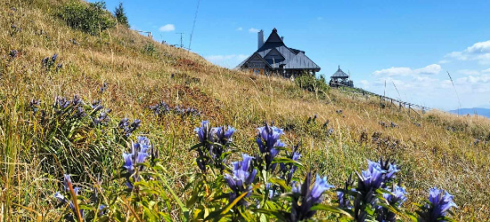 BIESZCZADY: Remont popularnego szlaku. Sprawdź KOMUNIKAT