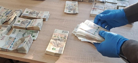 Zatrzymali 8 osób działających w zorganizowanej grupie przestępczej (VIDEO)