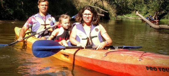 W NIEDZIELĘ ZA MIASTO: Rower, kajak, a może pieszo?