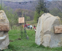 Posadzili głóg „Maria”