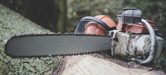Tragedia w Grabownicy. 55-latek zginął przygnieciony przez drzewo