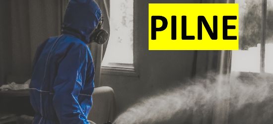 AKTUALIZACJA: Najnowszy raport. 7 nowych zakażeń!