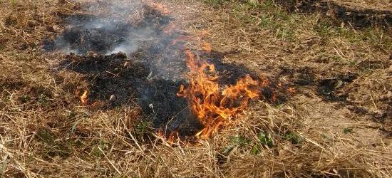 Pożar nieużytków rolnych na działkach o powierzchni ok. 5 ha (ZDJĘCIA)