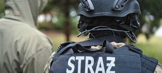 25-latek zdawał egzamin za 50-latka