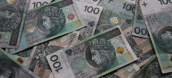 PODKARPACIE: Wyłudził kredyty na ponad 5 milionów złotych