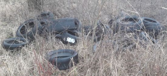 AKTUALIZACJA / INTERWENCJA. Na Olchowcach ktoś wrzucił w zarośla 70 opon… (ZDJĘCIA)