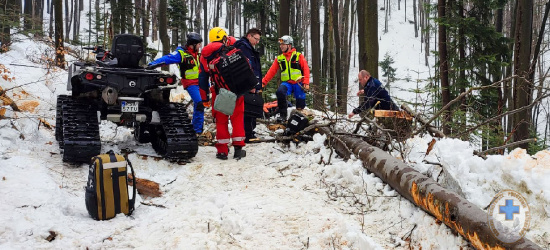 BIESZCZADY: Nie żyje mężczyzna uderzony konarem drzewa! (FOTO)