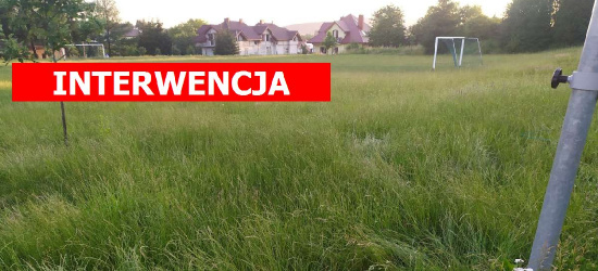 SANOK: Boiska w dzielnicy Dąbrówka. „Można wypasać bydło” (ZDJĘCIA)