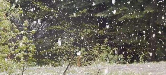 BIESZCZADY: Pada wiosenny… śnieg. Dynamika pogodowa (VIDEO)