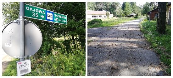SANOK: Czy „Sosenki” doczekają się nowego życia? (FOTO)