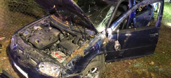 HACZÓW. 18-letni kierowca chciał ominąć kota! 14 i 16-latek w szpitalu. NOWE INFORMACJE (ZDJĘCIA)