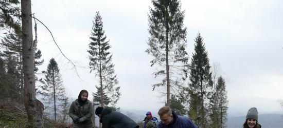 Bogusław Famielec dyrektorem RDLP w Krośnie