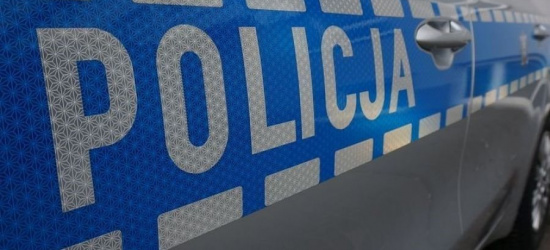 REGION: Koń poturbował mężczyznę. 66-latek zmarł